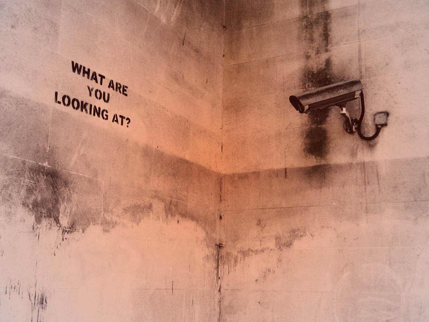 На что ты смотришь? обои