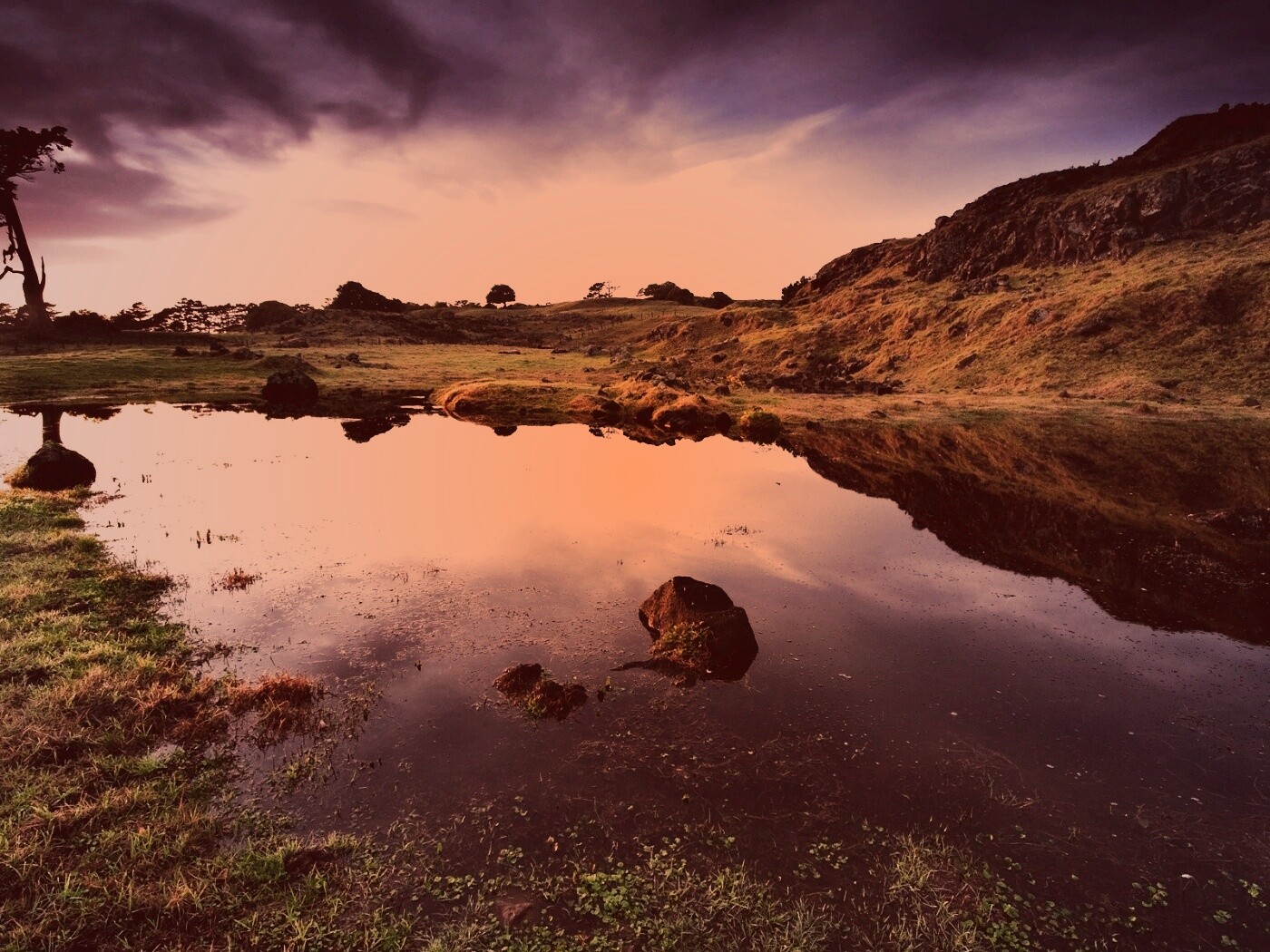 Затопленная долина в Новой Зеландии обои