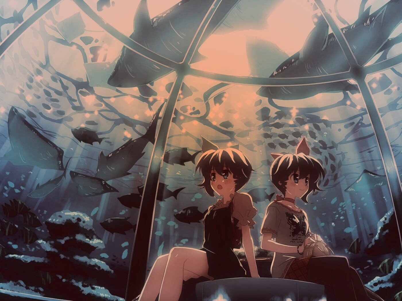 В океанариуме обои