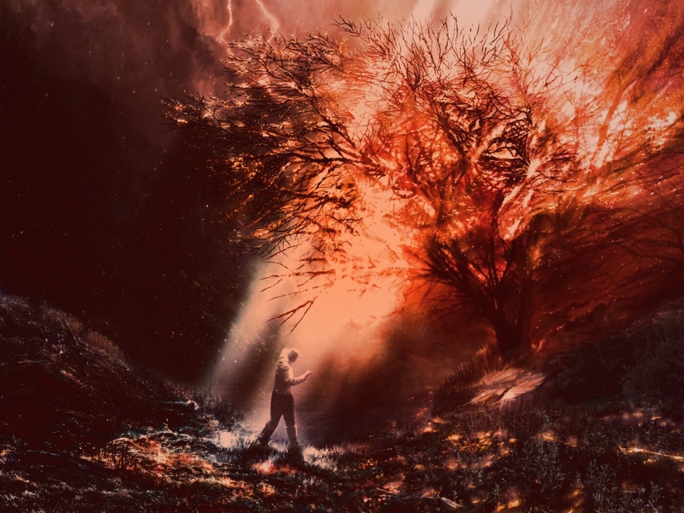 Горящее дерево обои