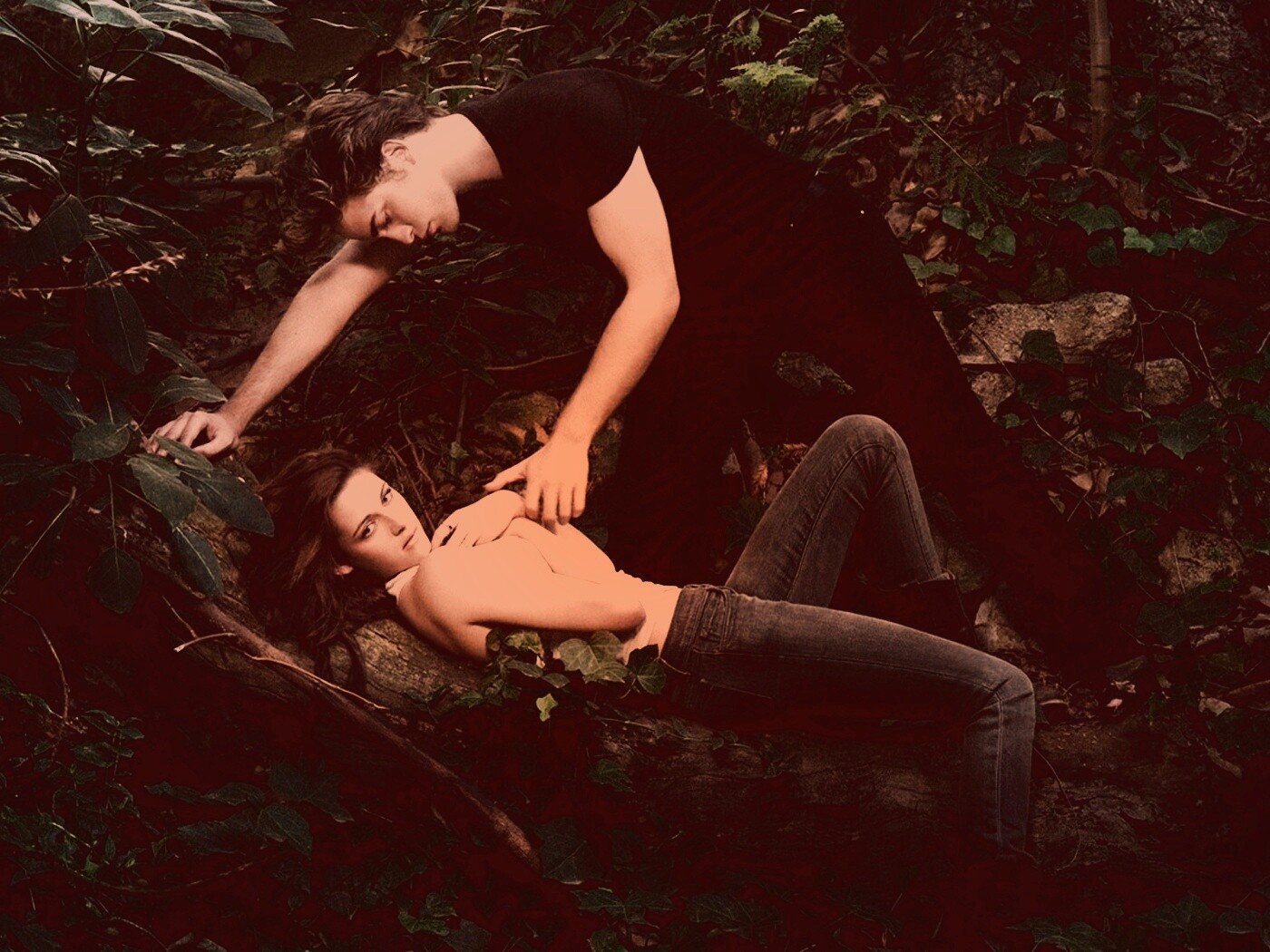 Эдвард и Белла в лесу обои