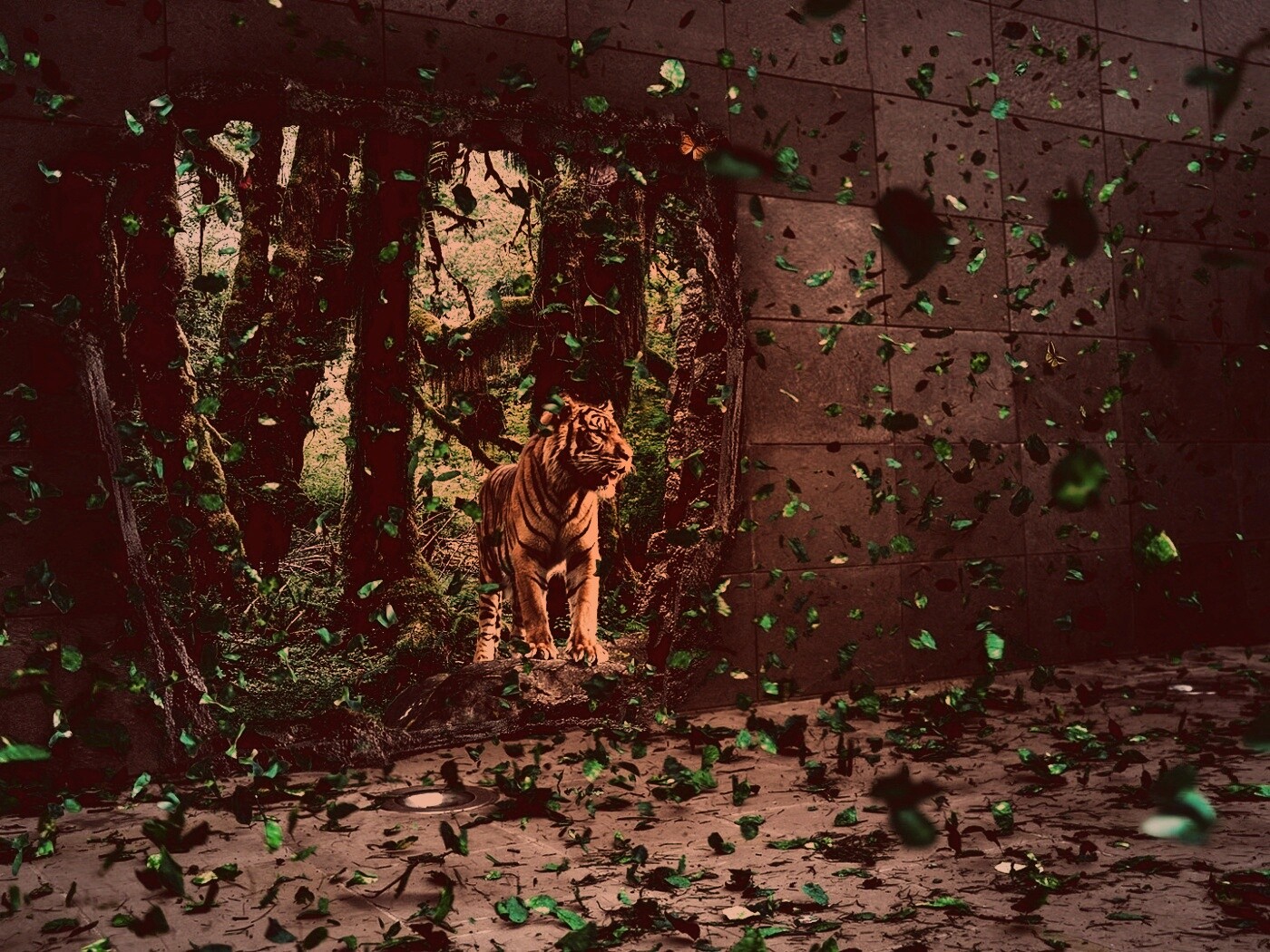 Портал в джунги обои