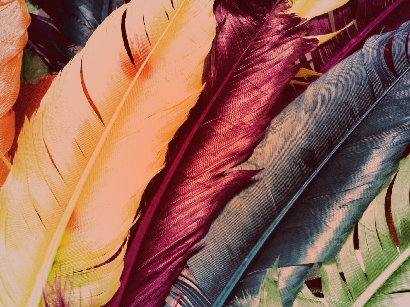 Разноцветные перья обои