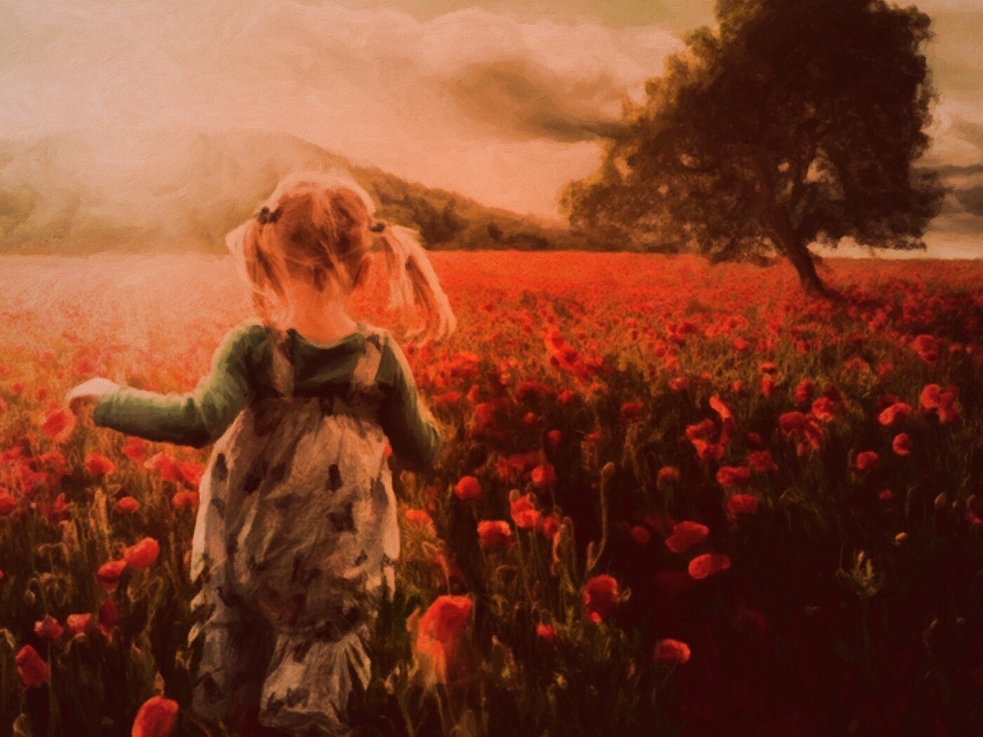 Девочка на маковом поле обои