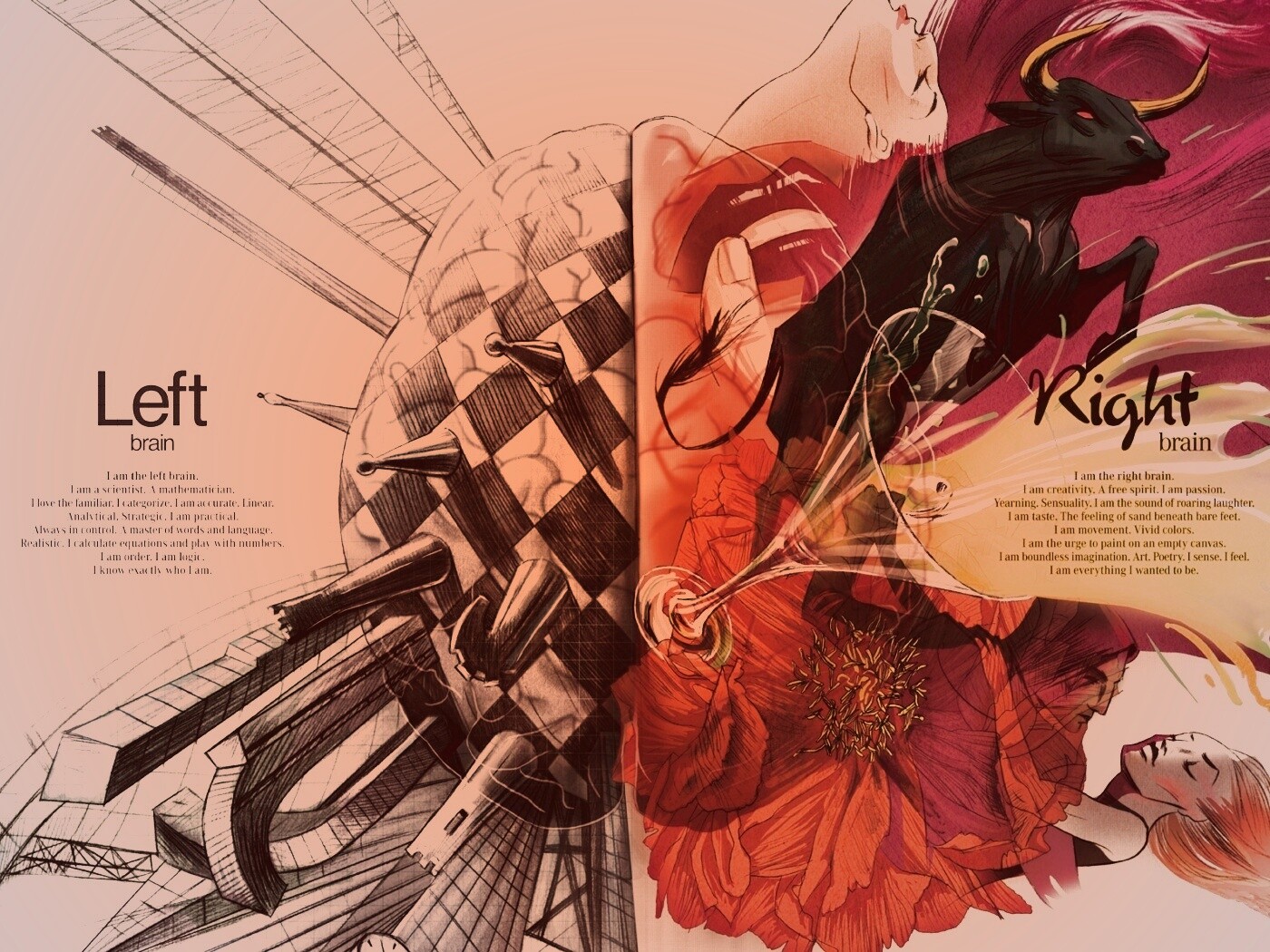 Левая и правая часть мозга обои