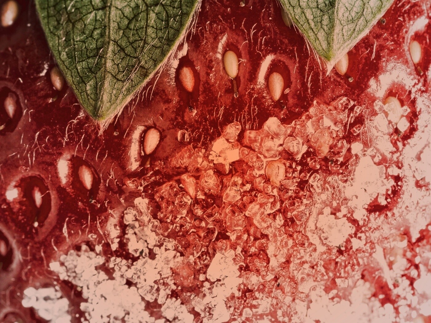 Клубника в сахаре обои