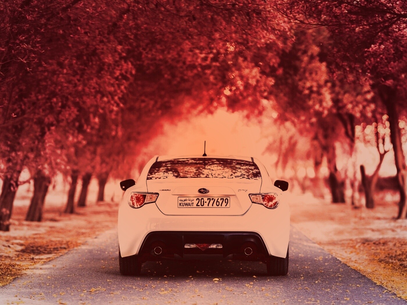 Субару на осенней дороге обои