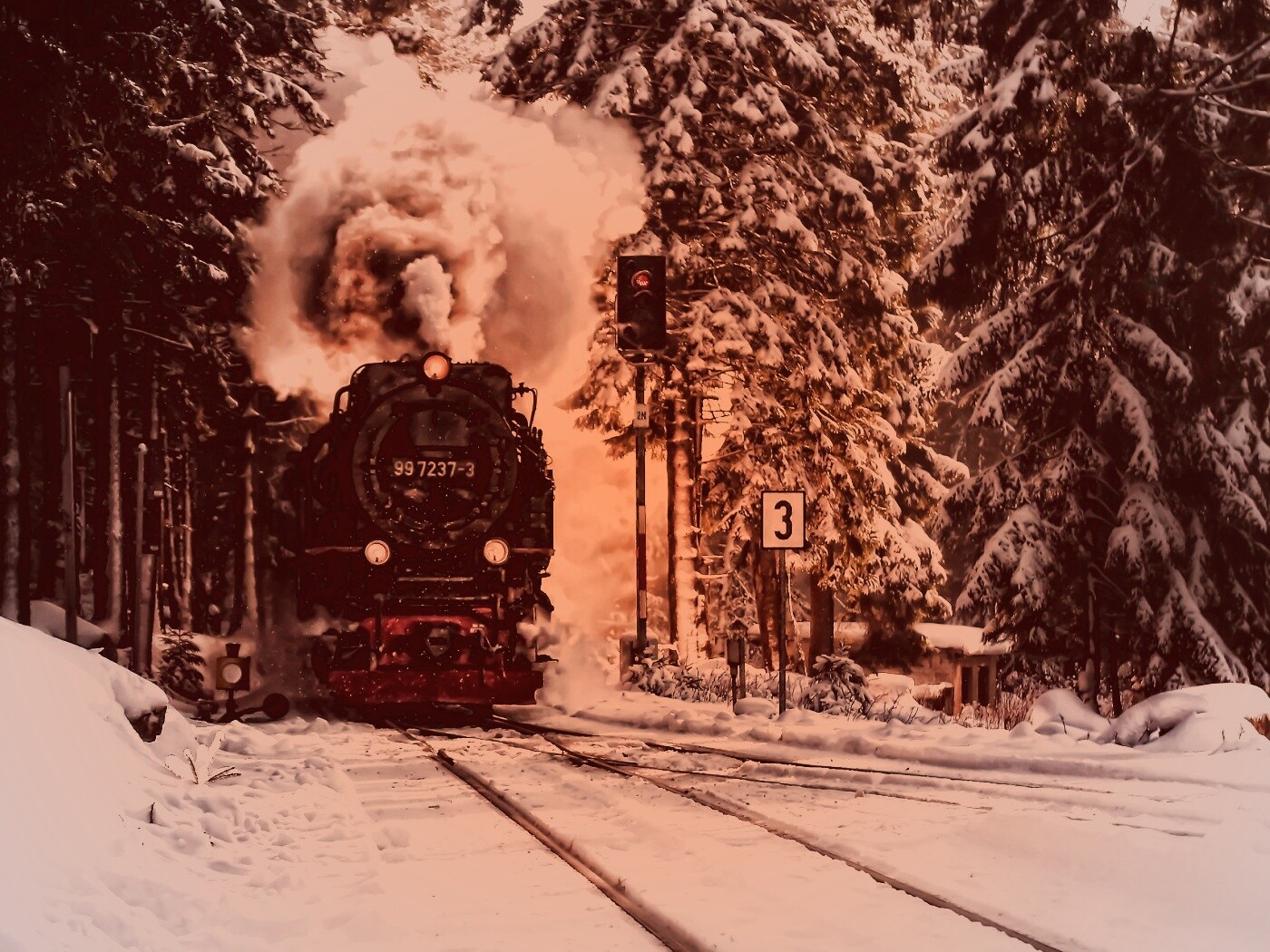 Паровоз в димнем лесу обои