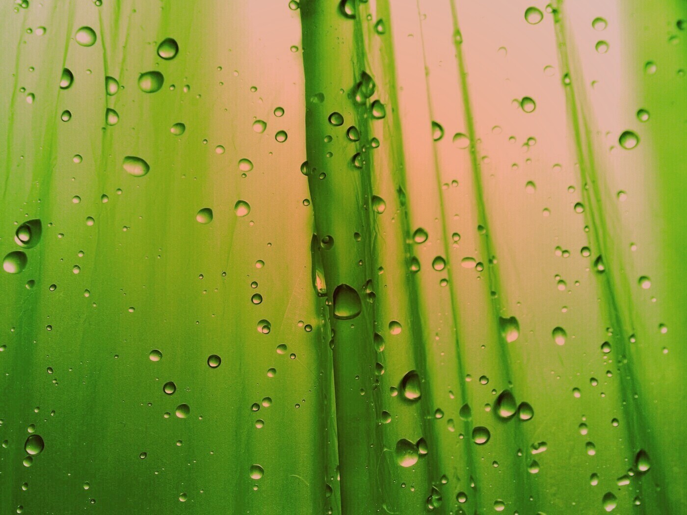 Капли на зеленом пластике обои