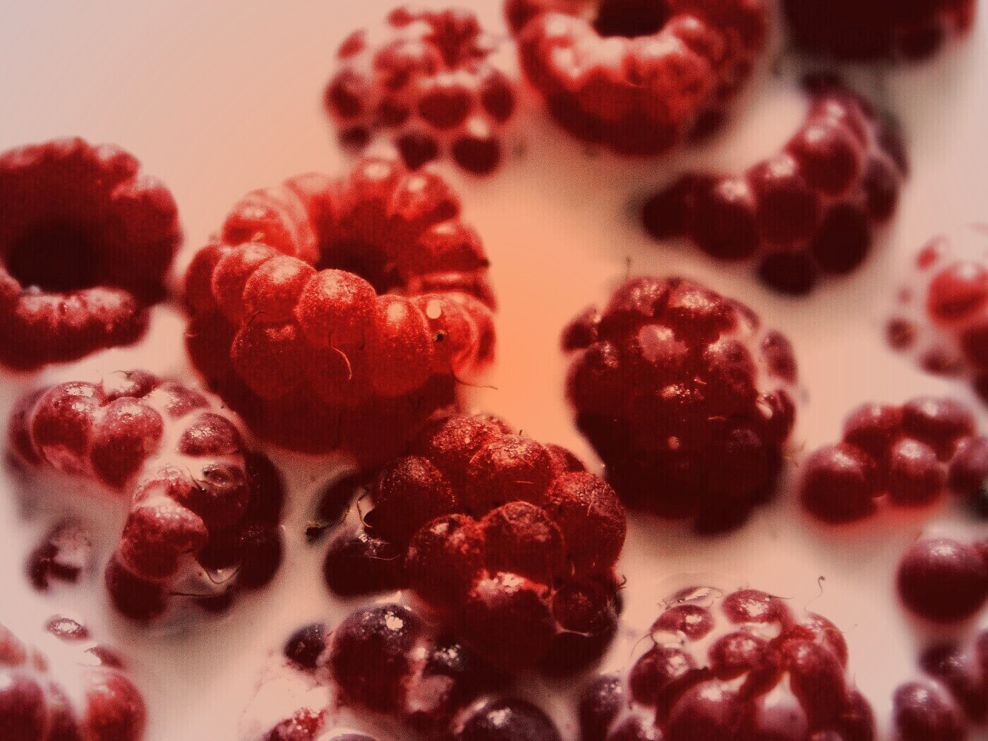 Малина в молоке обои