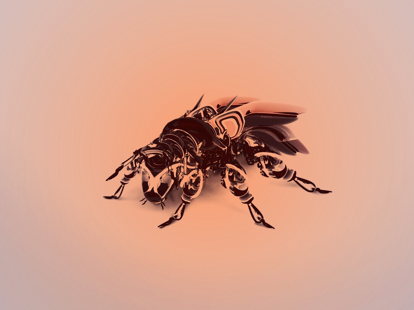 Кибер муха обои