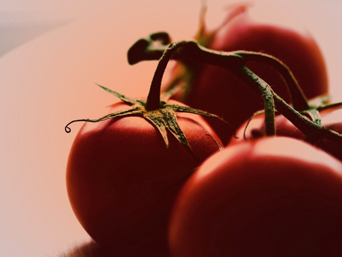Аппетитные помидоры обои