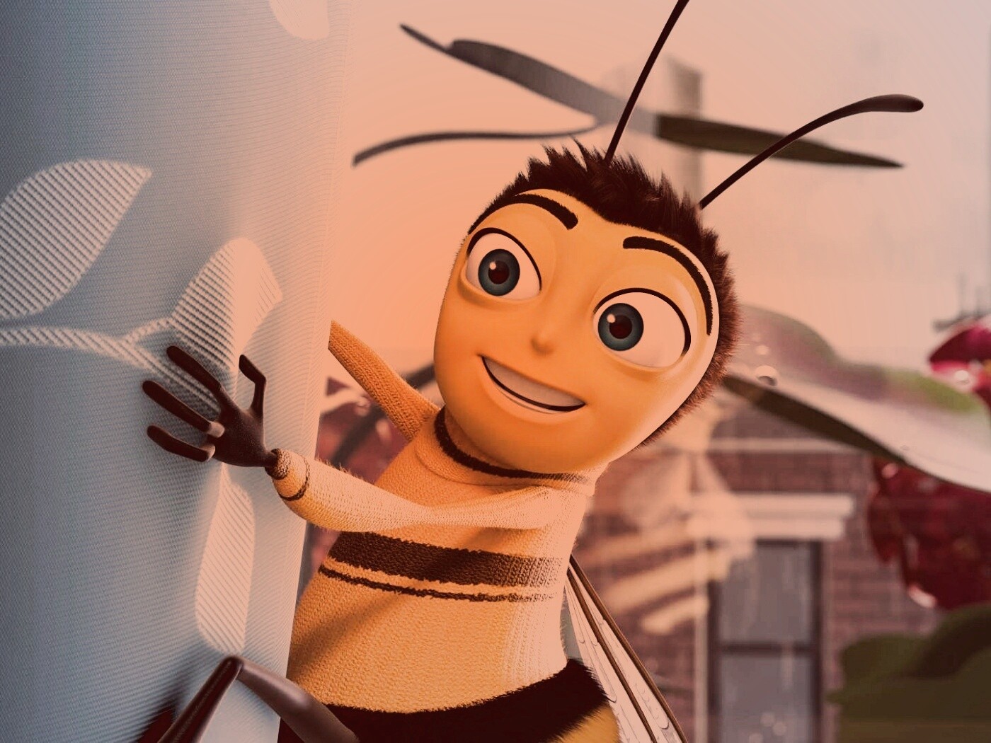 Бимуви обои