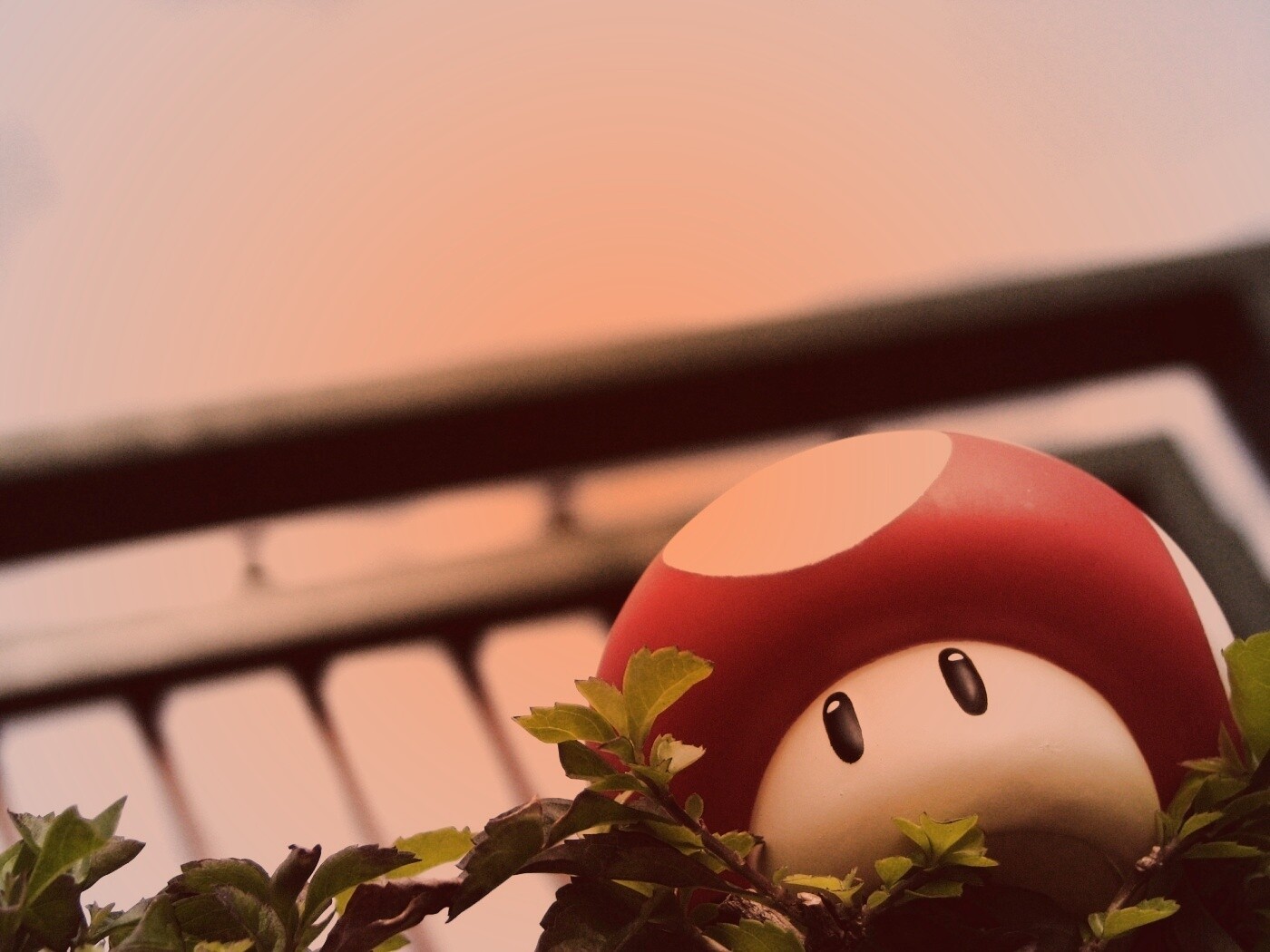 Гриб из Марио обои