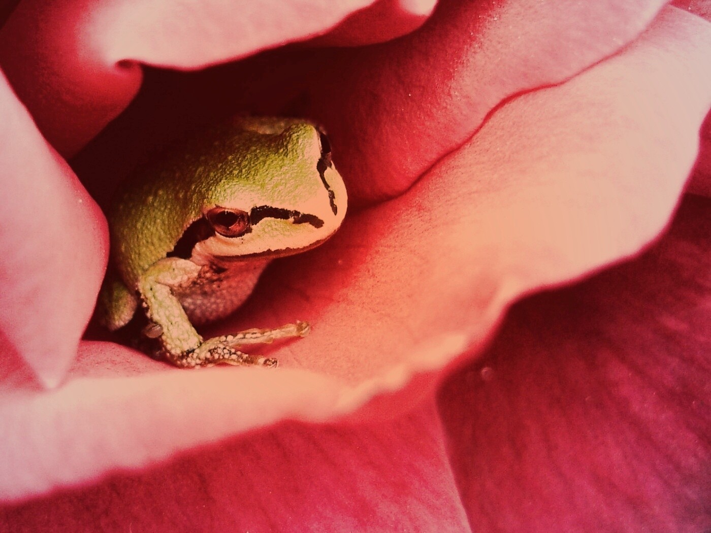 Куда это ты смотришь? обои