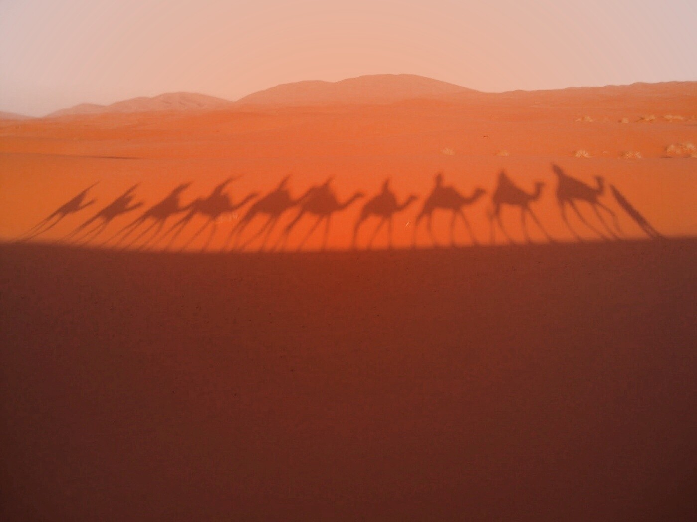 Караван обои