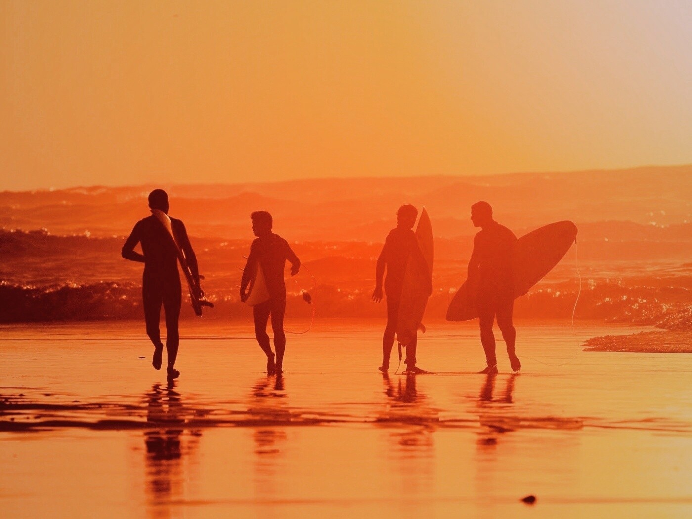 Серфингисты обои