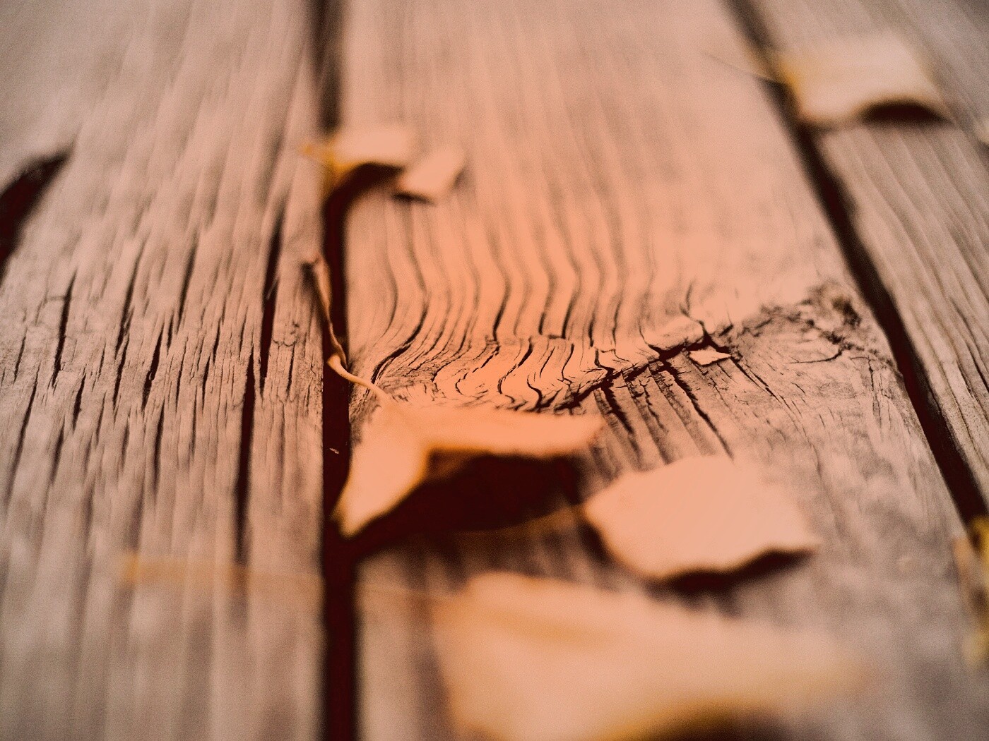 Листья на дощатом полу обои