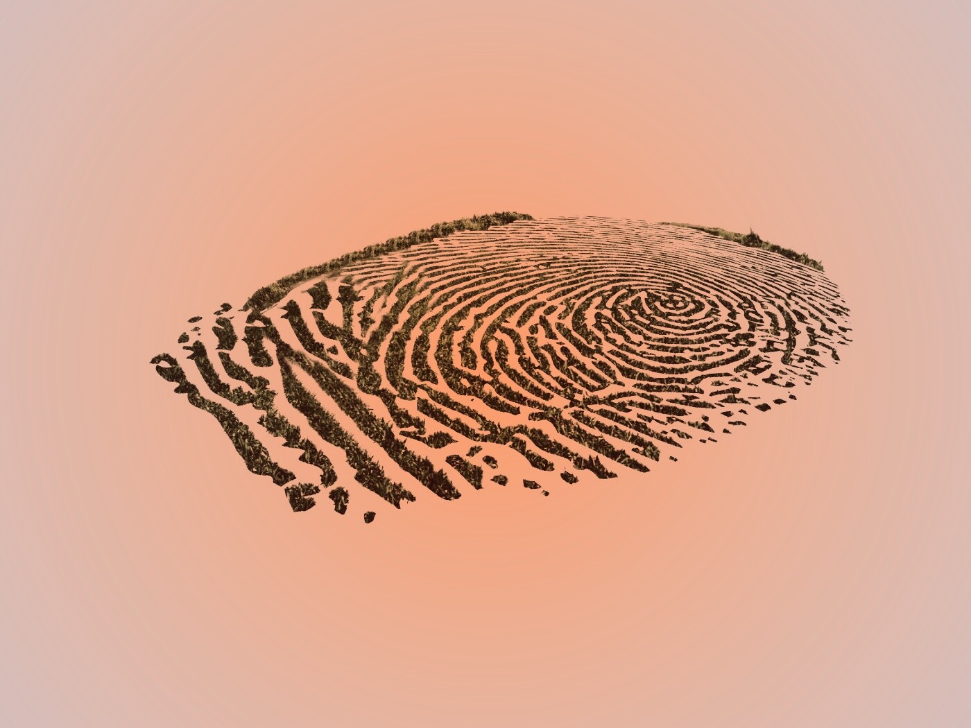 Отпечаток пальца обои