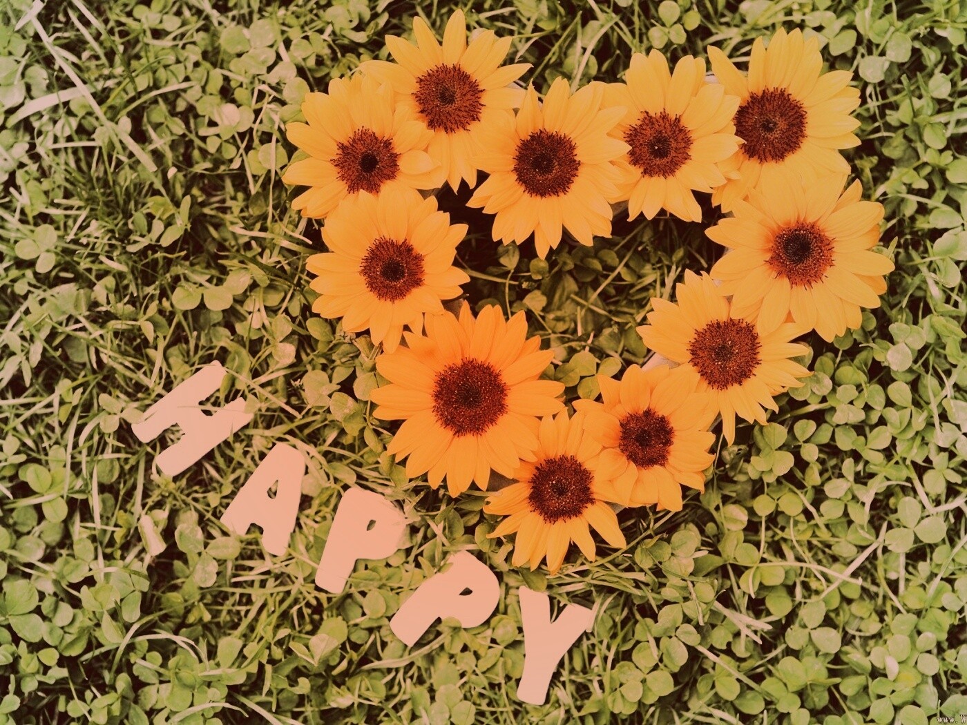 Радость обои