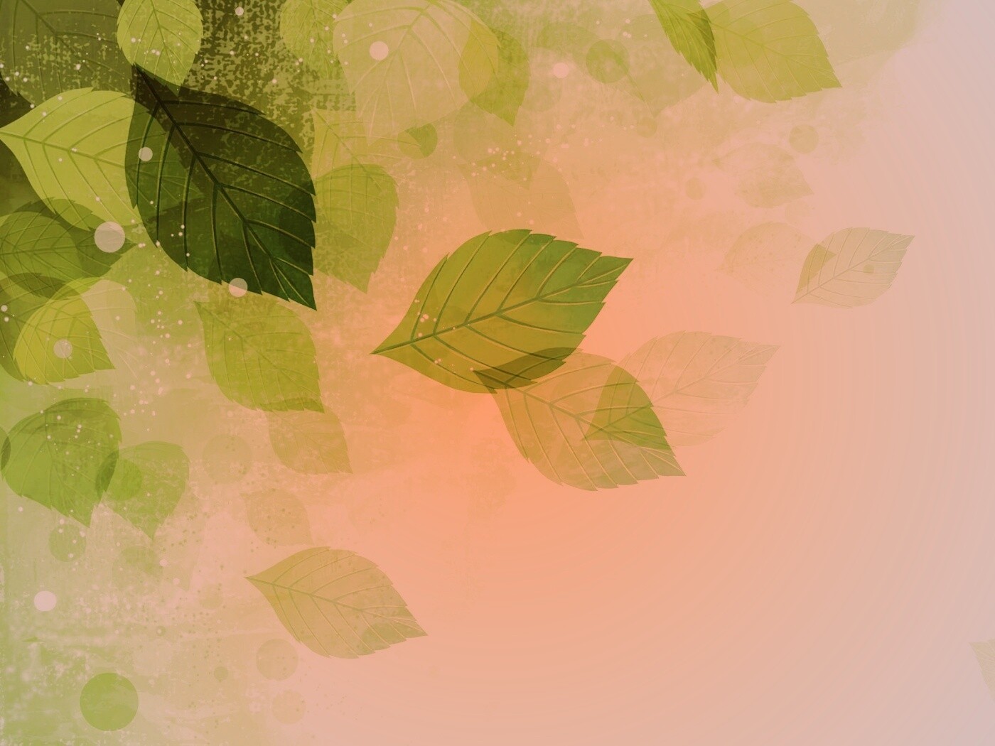 Прозрачные листья обои