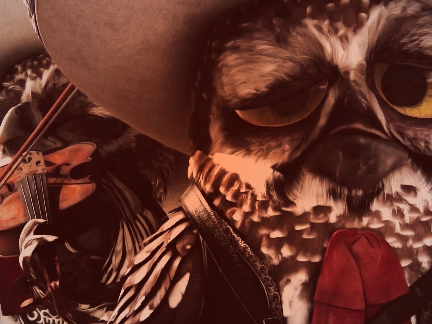 Совы-мариачи из Ранго обои