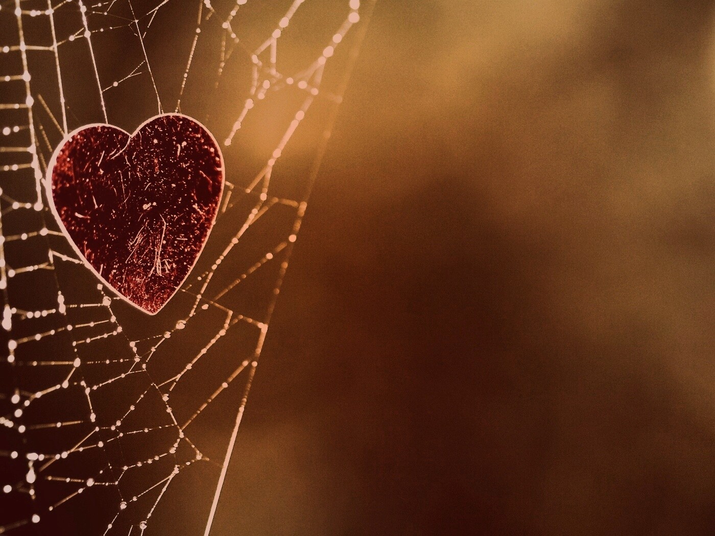 Запутавшаяся любовь.. обои