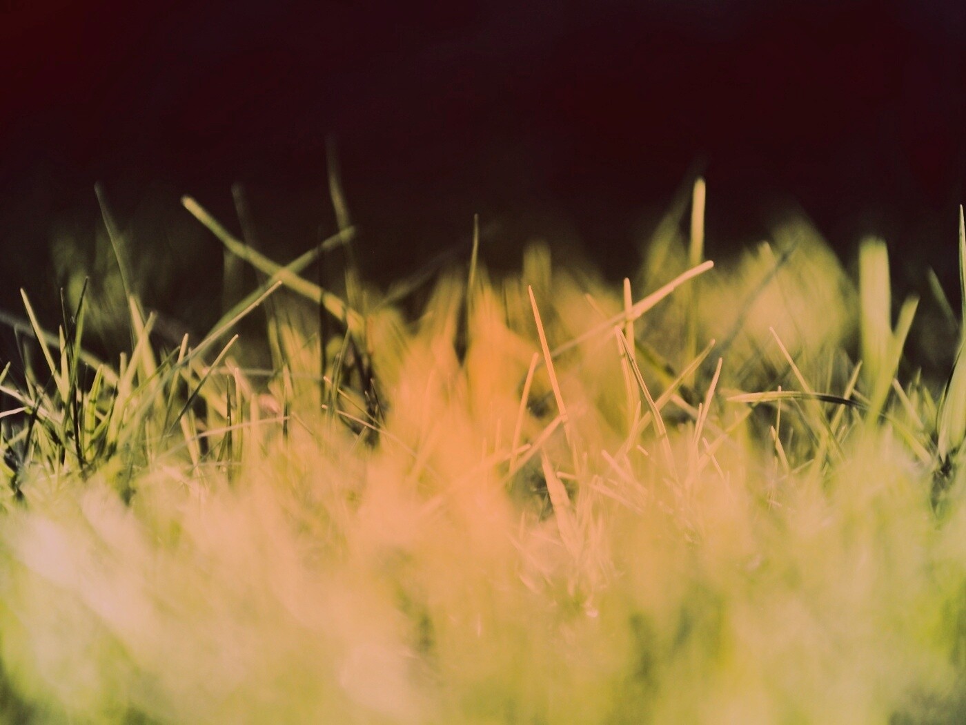 Играя солнечным светом обои