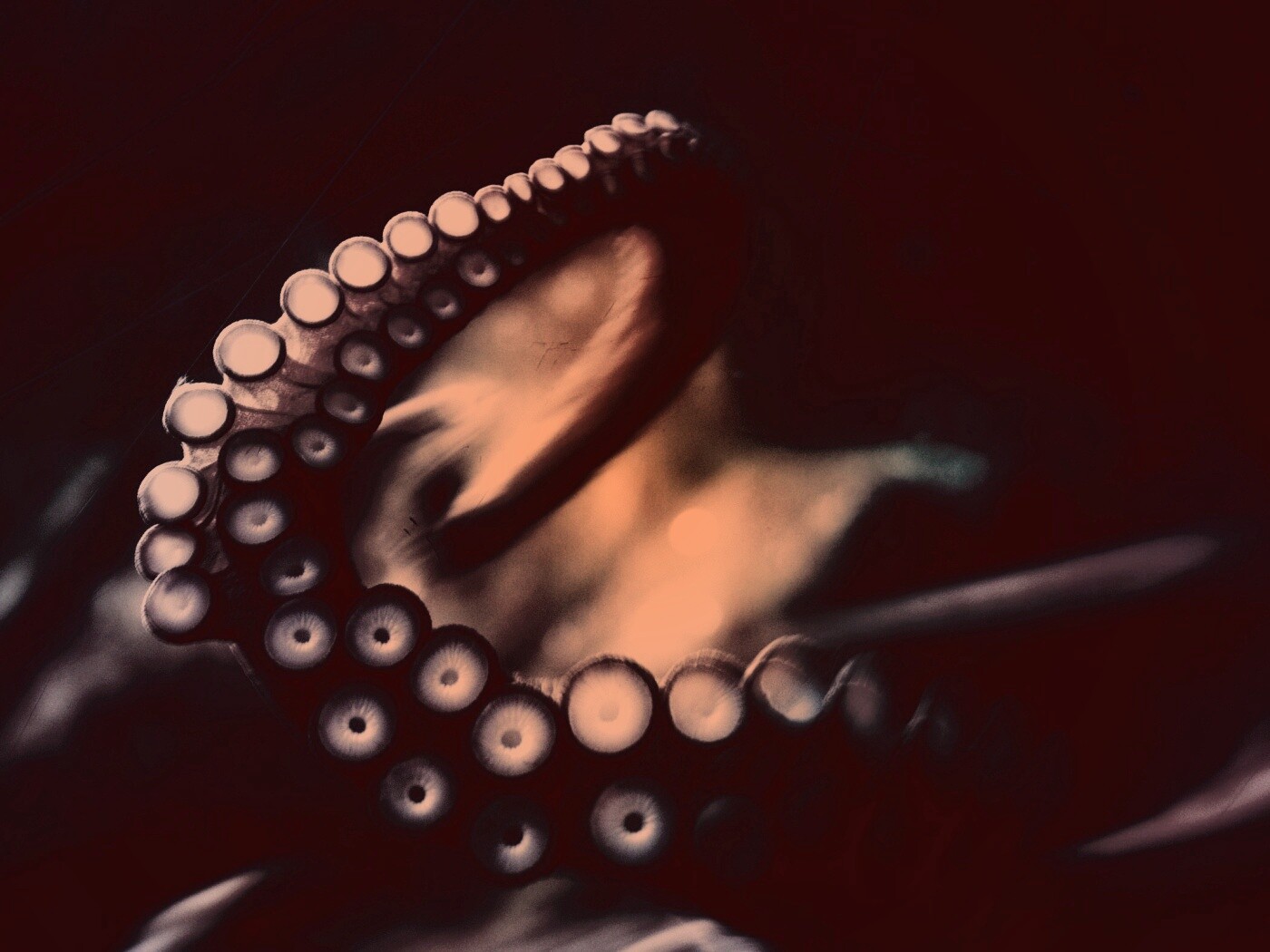 Щупальце обои