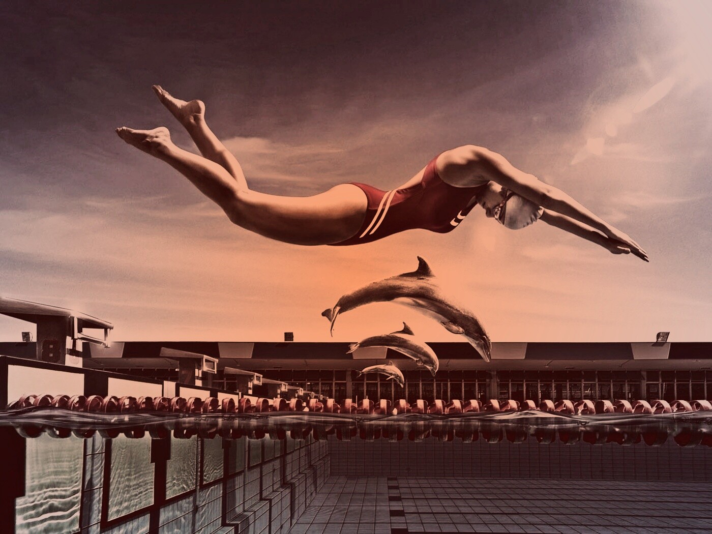 Соревнование обои