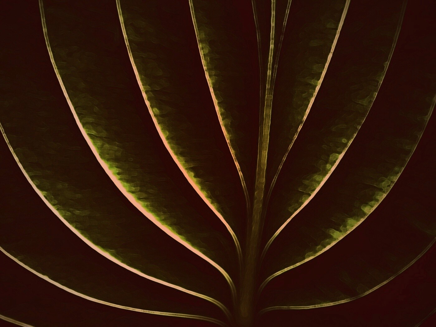 Неоновый лист обои