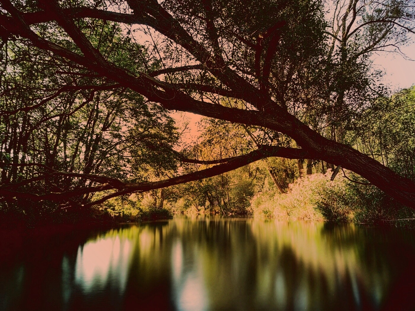 Спокойная лесная река обои