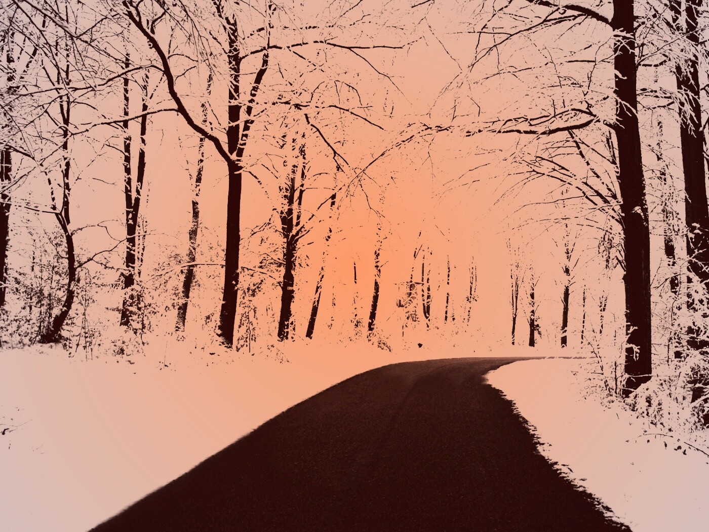 Дорога в зимнем лесу обои