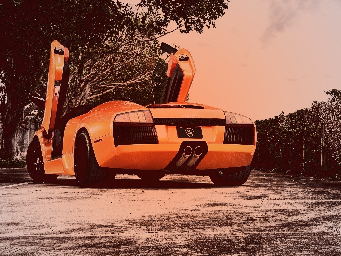 Оранжевая Мюрселаго обои