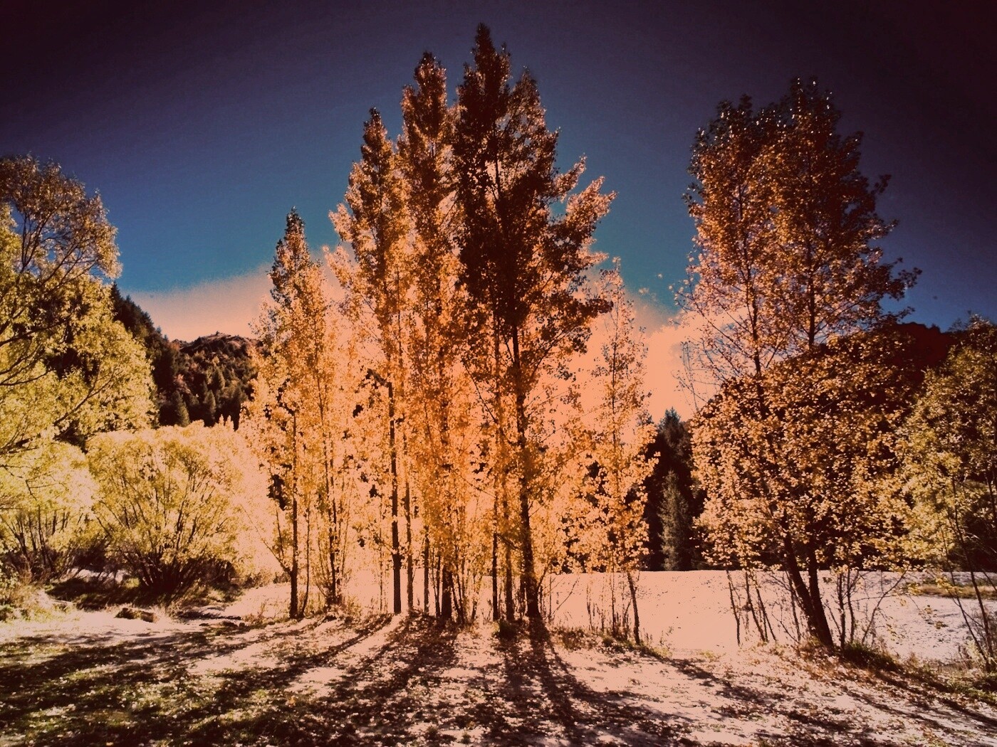 Осень в Новой Зеландии обои