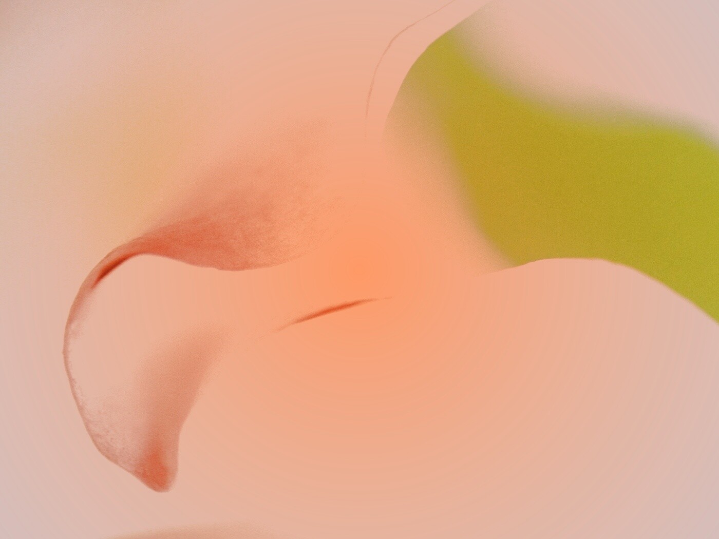 Оттенки природы обои