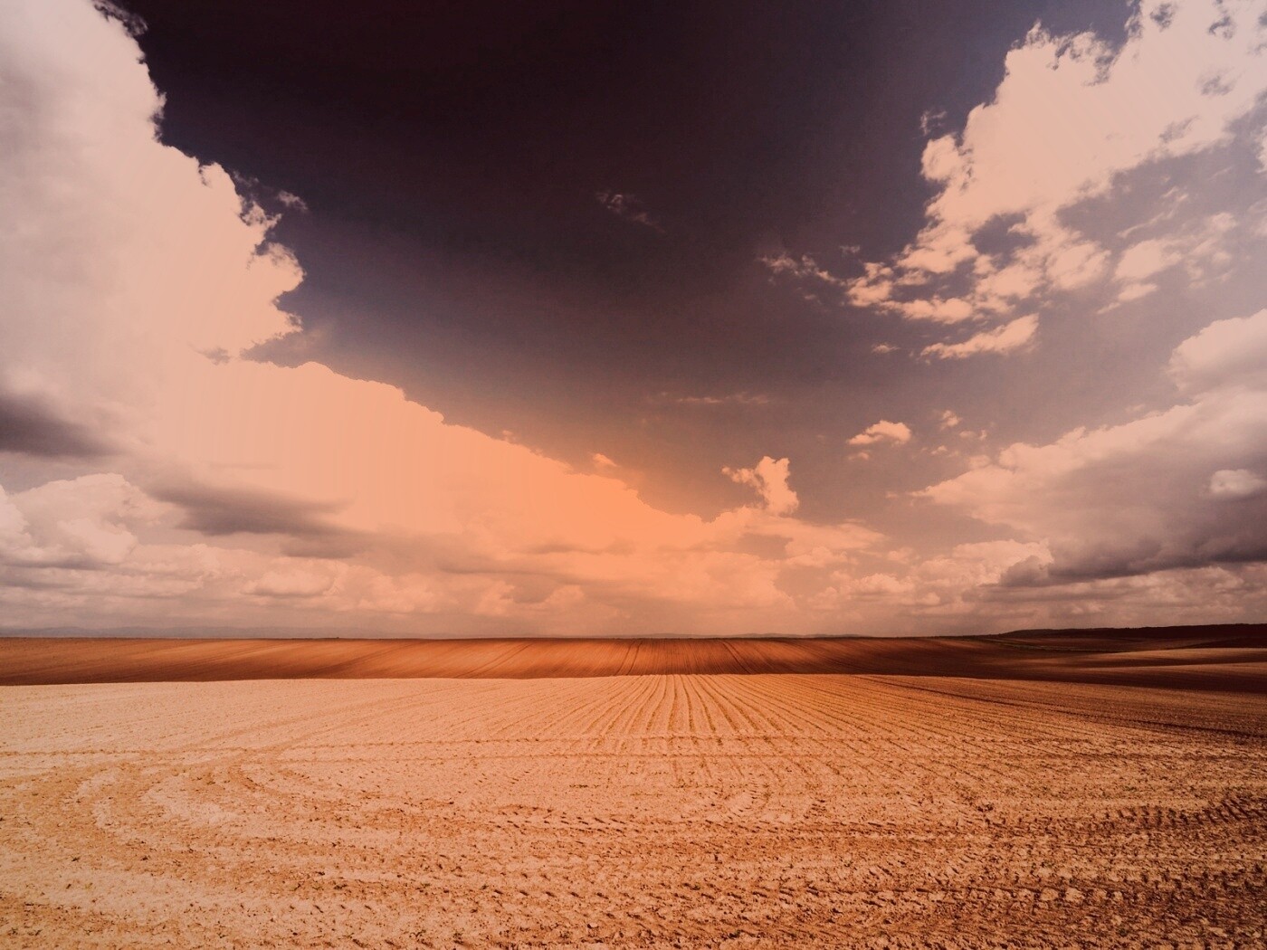 Незасеянное поле обои