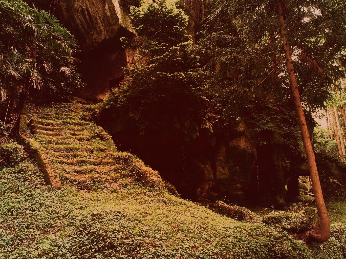 Старинный лесной храм обои