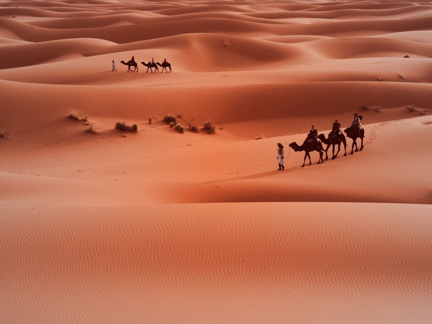 Караваны пустыни обои
