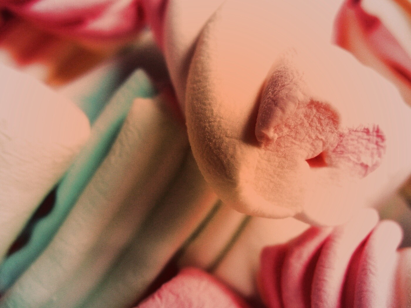 Кручёный зефир обои