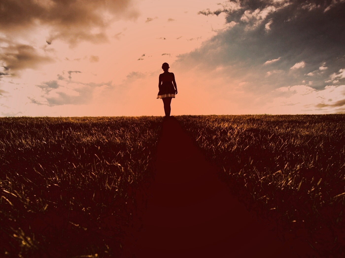 Силуэт девочки на поле обои