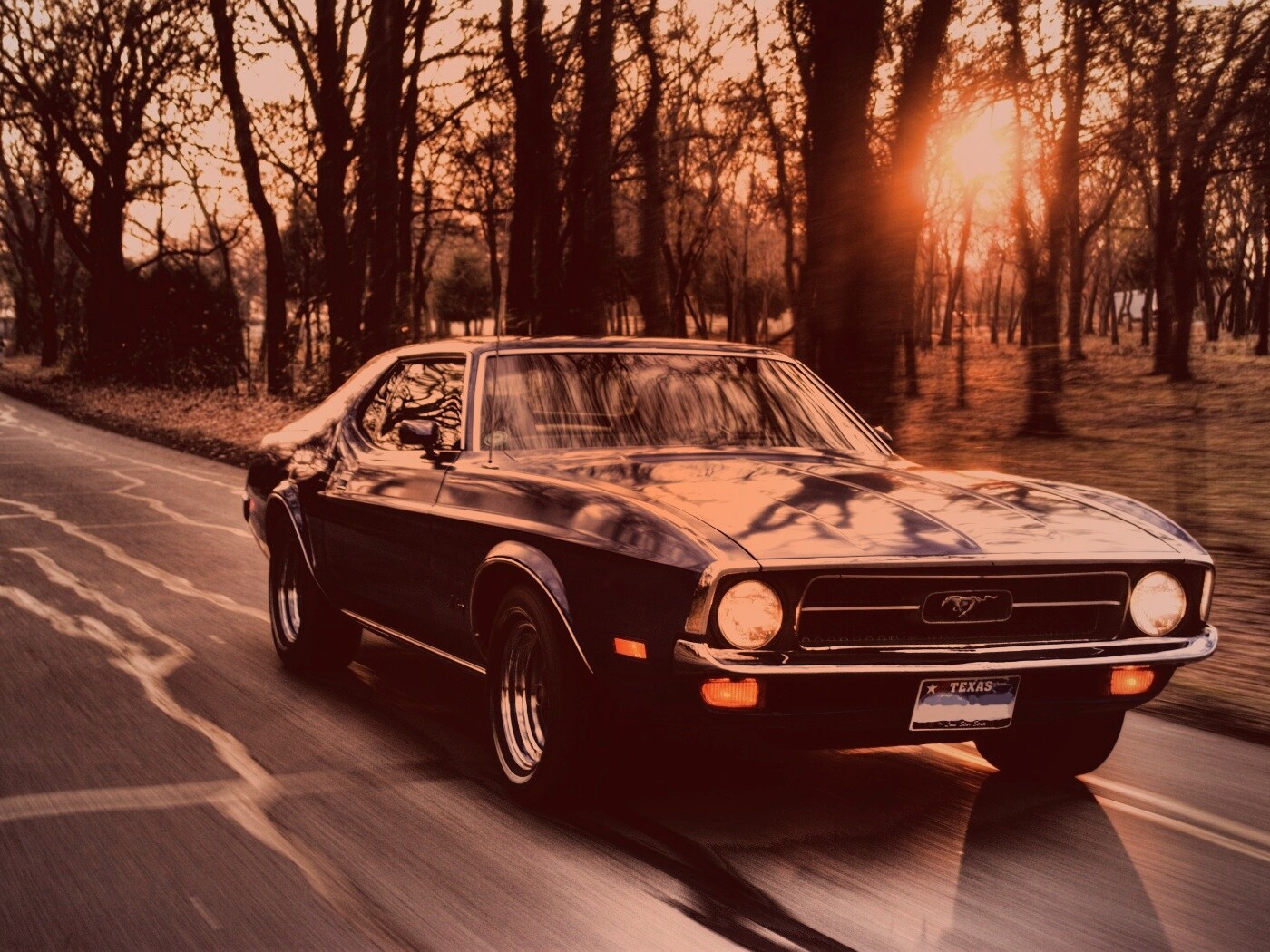 Мустанг обои