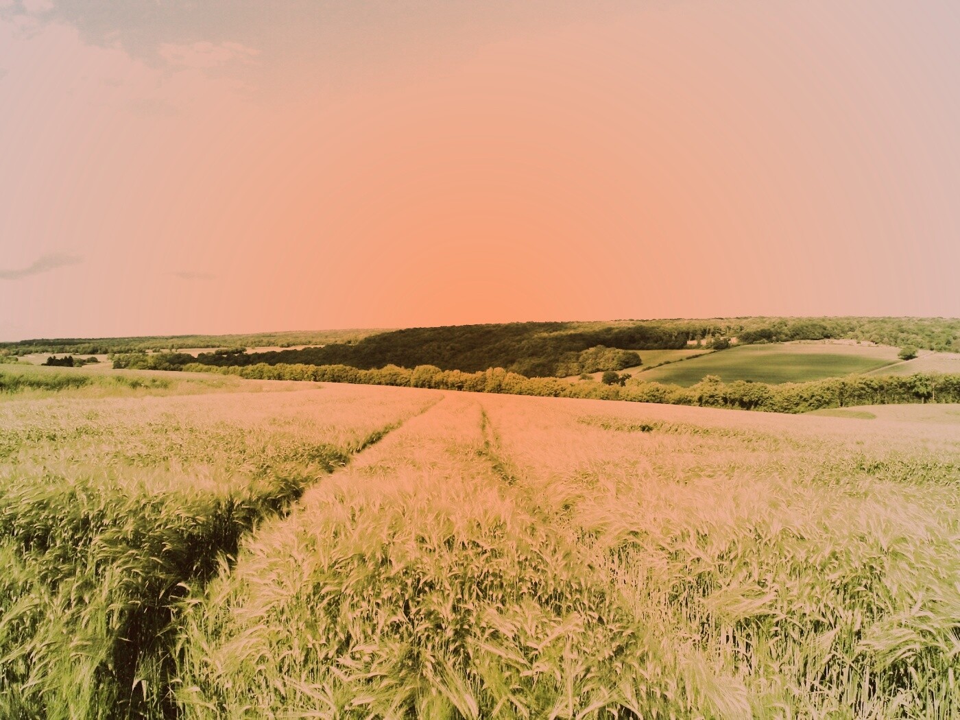 Бескрайние просторы обои