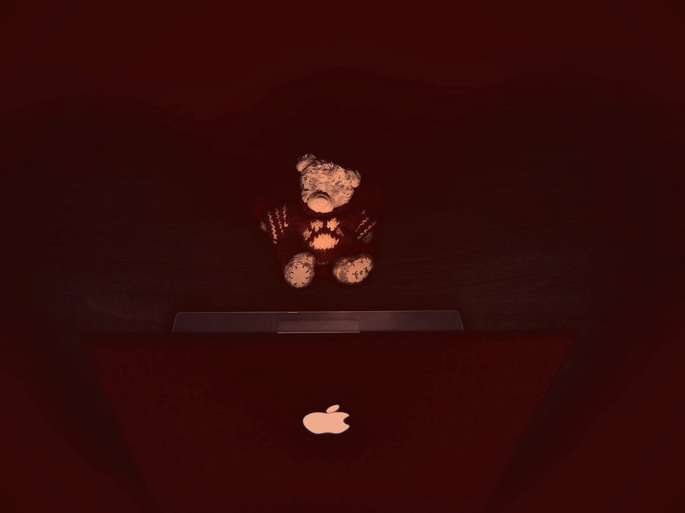 Плюшевый мишка за ноутбуком обои