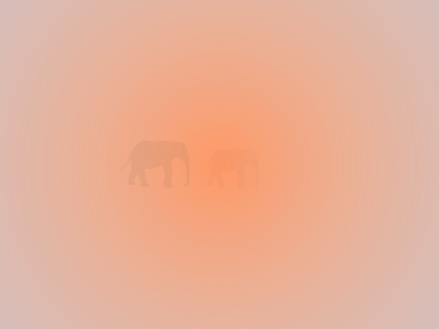 Вереница слонов обои