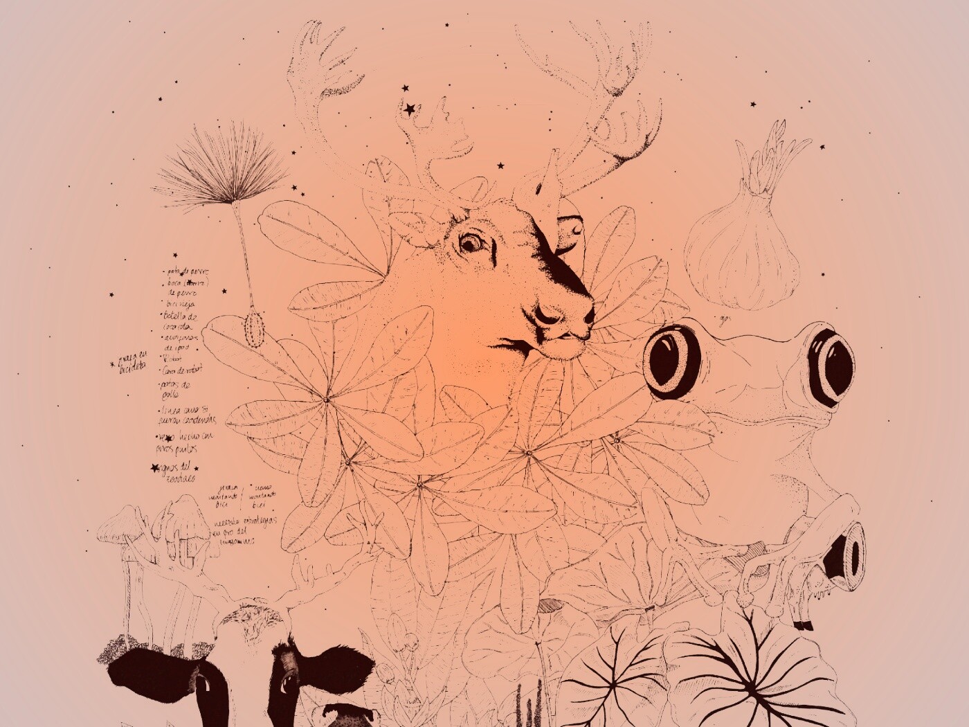 Животные на рабочий стол Apple обои