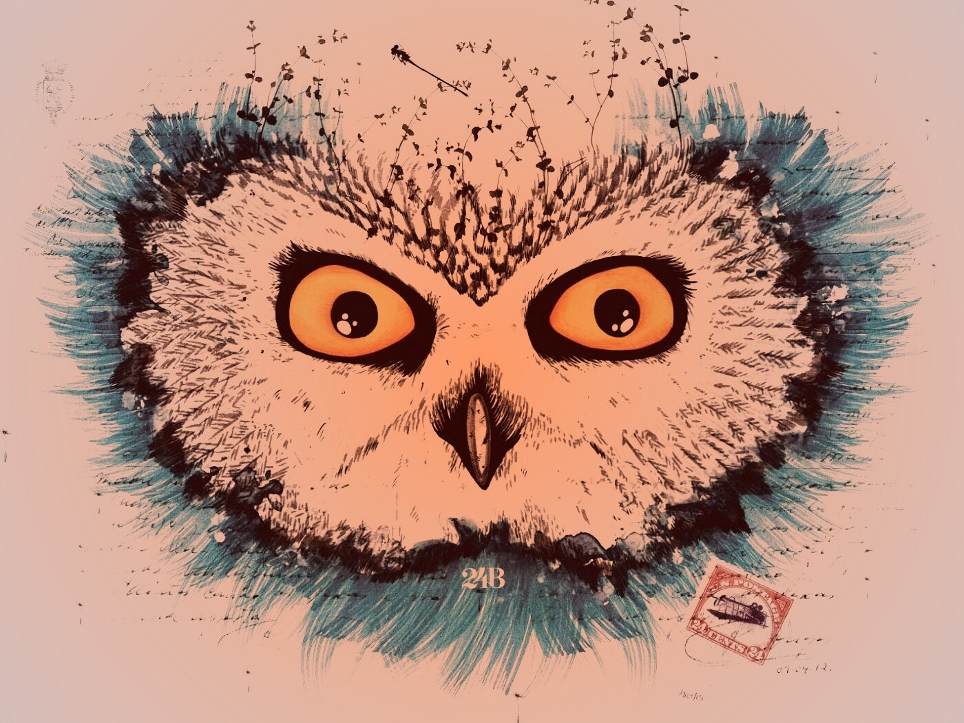 Обои сова для mac book обои