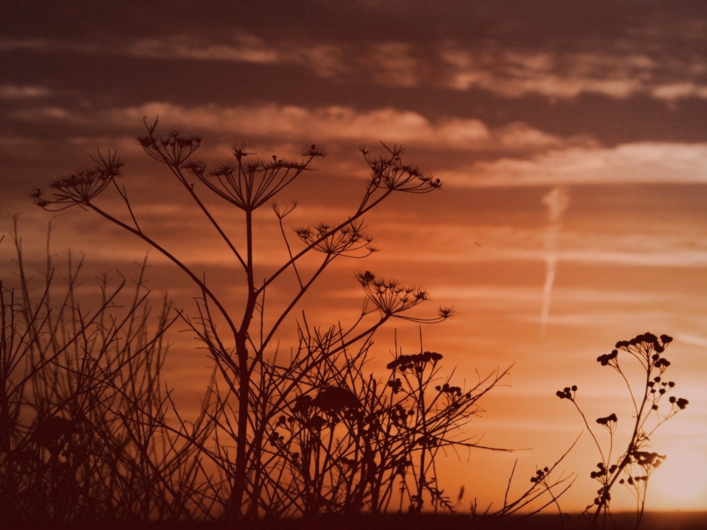 Степной закат обои