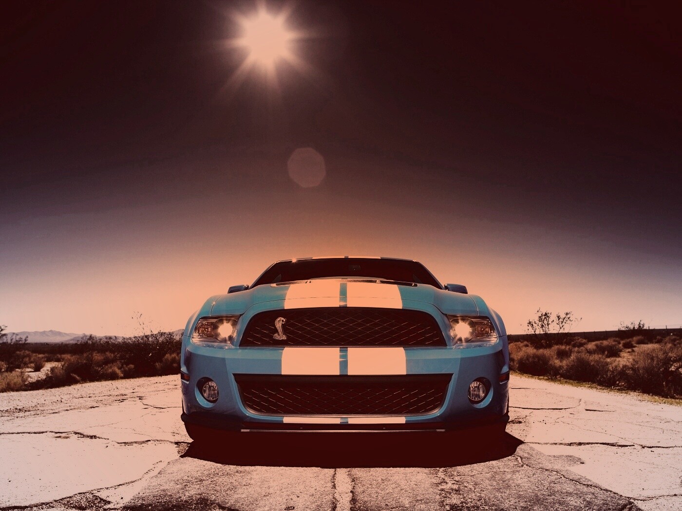 Форд Шелби обои