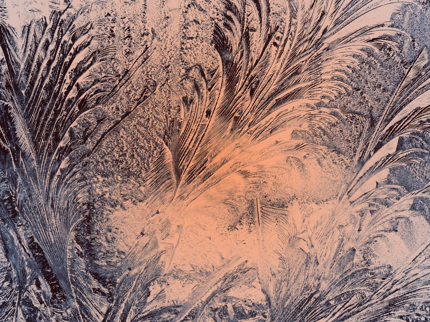 Зимние узоры обои